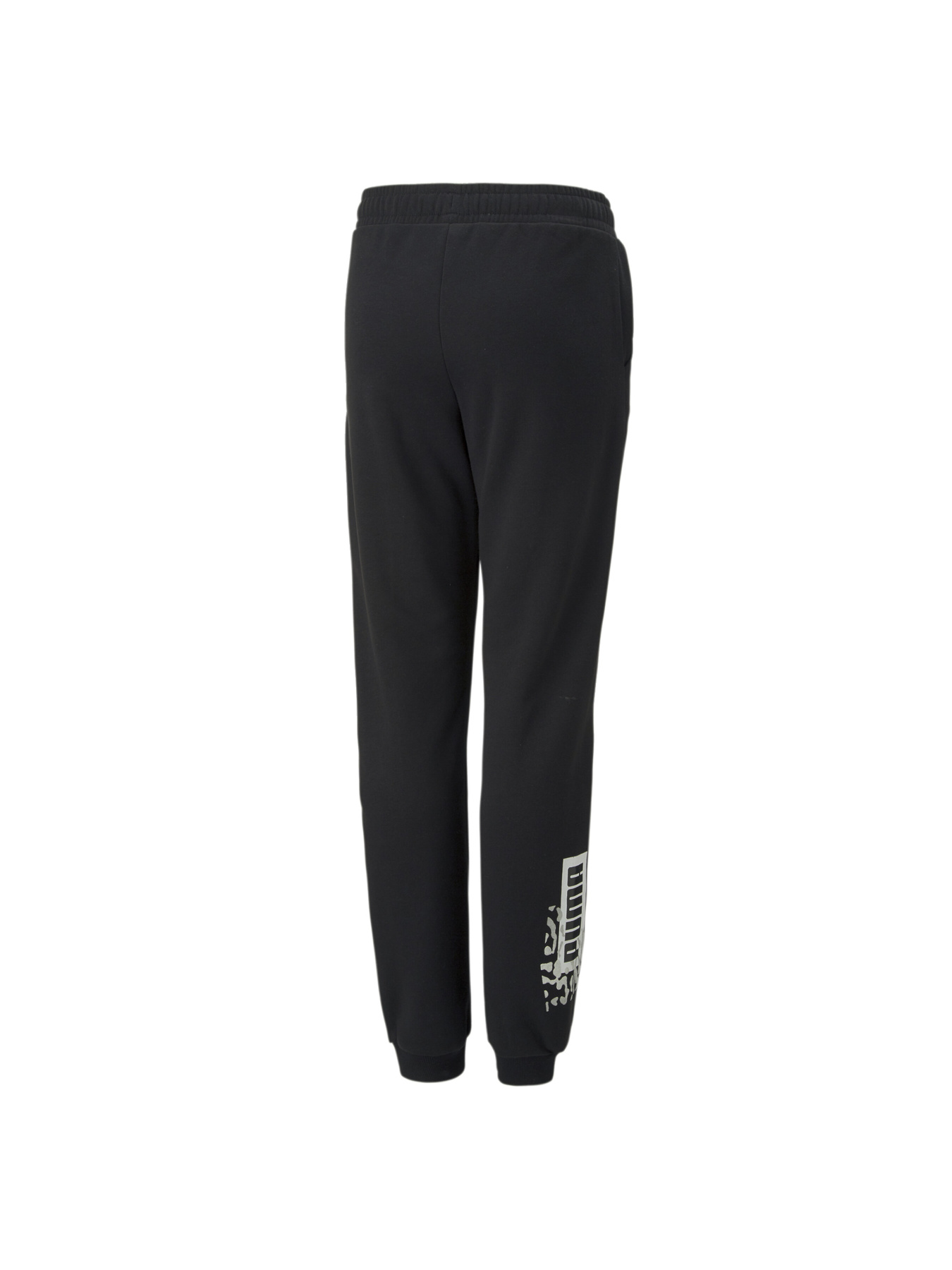 Штаны спортивные PUMA модель 670222 Фото