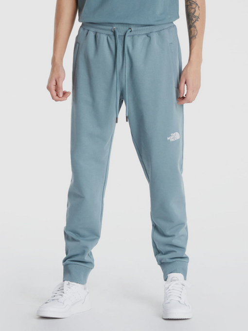 Брюки The North Face модель NF0A4T1FA9L1 Фото