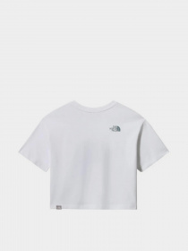 Футболки и поло The North Face модель NF0A4T1R52U1 Фото