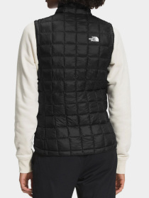 Худи и свитшоты The North Face модель NF0A5GLFJK31 Фото