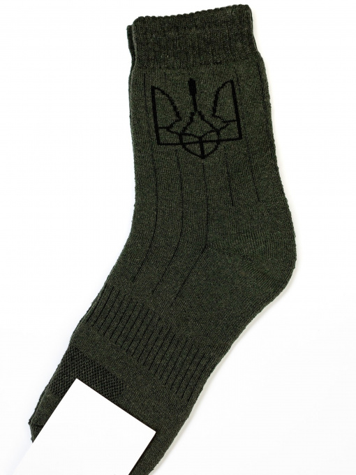 Шкарпетки ISSA Plus модель GNS-171_hacks Фото