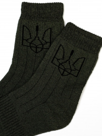 Шкарпетки ISSA Plus модель GNS-171_hacks Фото