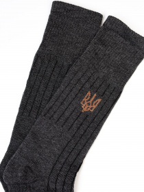 Носки ISSA Plus модель GNS-173_darkgray Фото