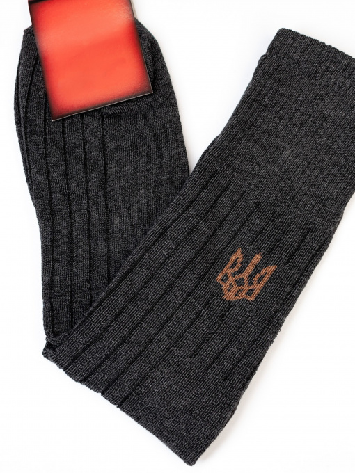 Шкарпетки ISSA Plus модель GNS-173_darkgray Фото