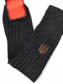 Шкарпетки ISSA Plus модель GNS-173_darkgray Шкарпетки ISSA Plus модель GNS-173_darkgray Фото