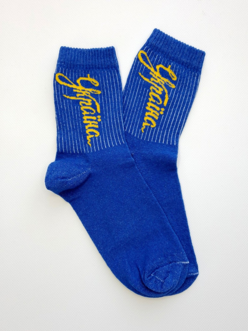 Шкарпетки ISSA Plus модель GNS-179_blue Фото