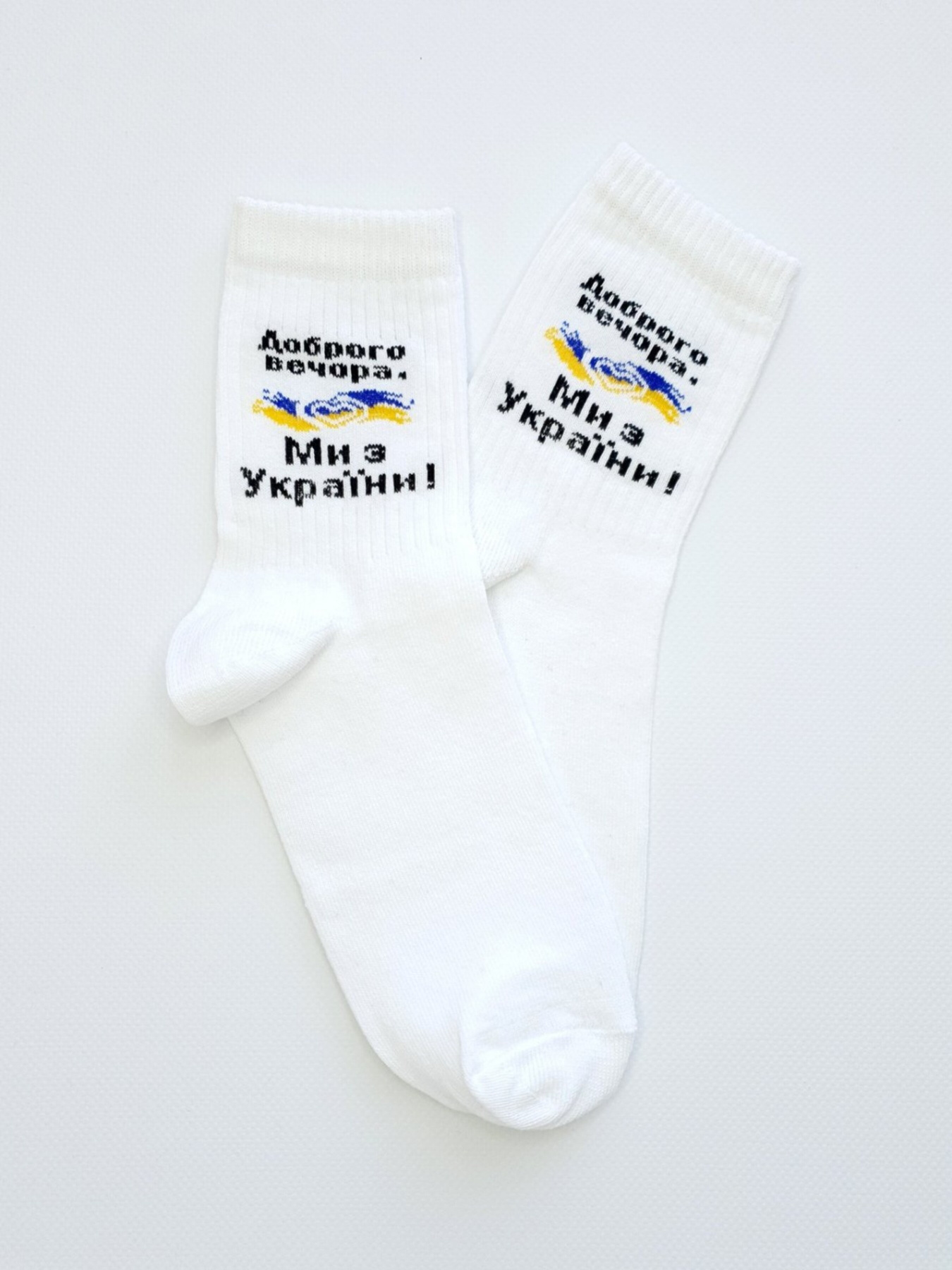 Шкарпетки ISSA Plus модель GNS-183_white Фото