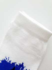 Шкарпетки ISSA Plus модель GNS-191_white Фото