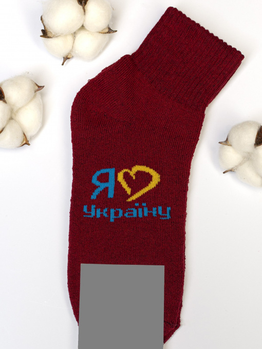 Носки ISSA Plus модель NS-176_burgundy Фото