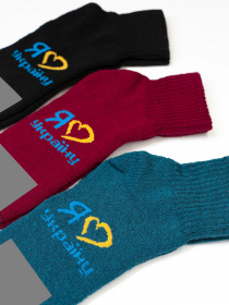 Шкарпетки ISSA Plus модель NS-176_blue Фото