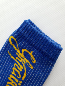 Шкарпетки ISSA Plus модель NS-179_blue Фото