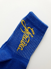 Носки ISSA Plus модель NS-179_blue Фото