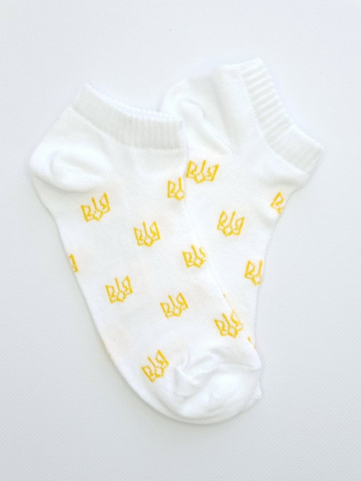 Шкарпетки ISSA Plus модель NS-201_white Фото