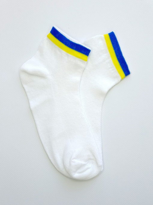 Шкарпетки ISSA Plus модель NS-202_white Фото