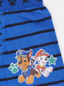 Трусы C&A модель 67185 Фото