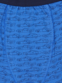 Трусы C&A модель 67191 Фото