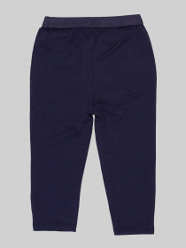 Леггинсы Vingino модель 33172 Фото