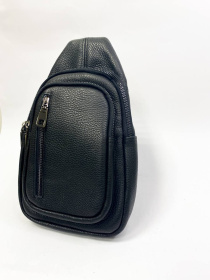 Сумка Legessy модель F185 Фото