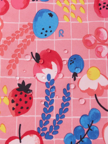 Демисезонная куртка REIMA модель 5100168B_4372 Фото