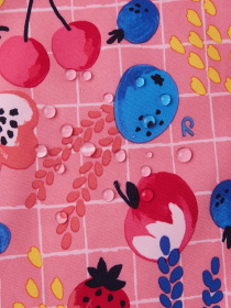 Демисезонная куртка REIMA модель 5100174B_4373 Фото