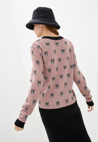 Джемпер Sewel модель JS736230100 Фото