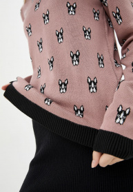 Джемпер Sewel модель JS736230100 Фото