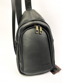 Мессенджер Legessy модель F018-1N Фото