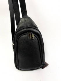 Мессенджер Legessy модель F018-1N Фото