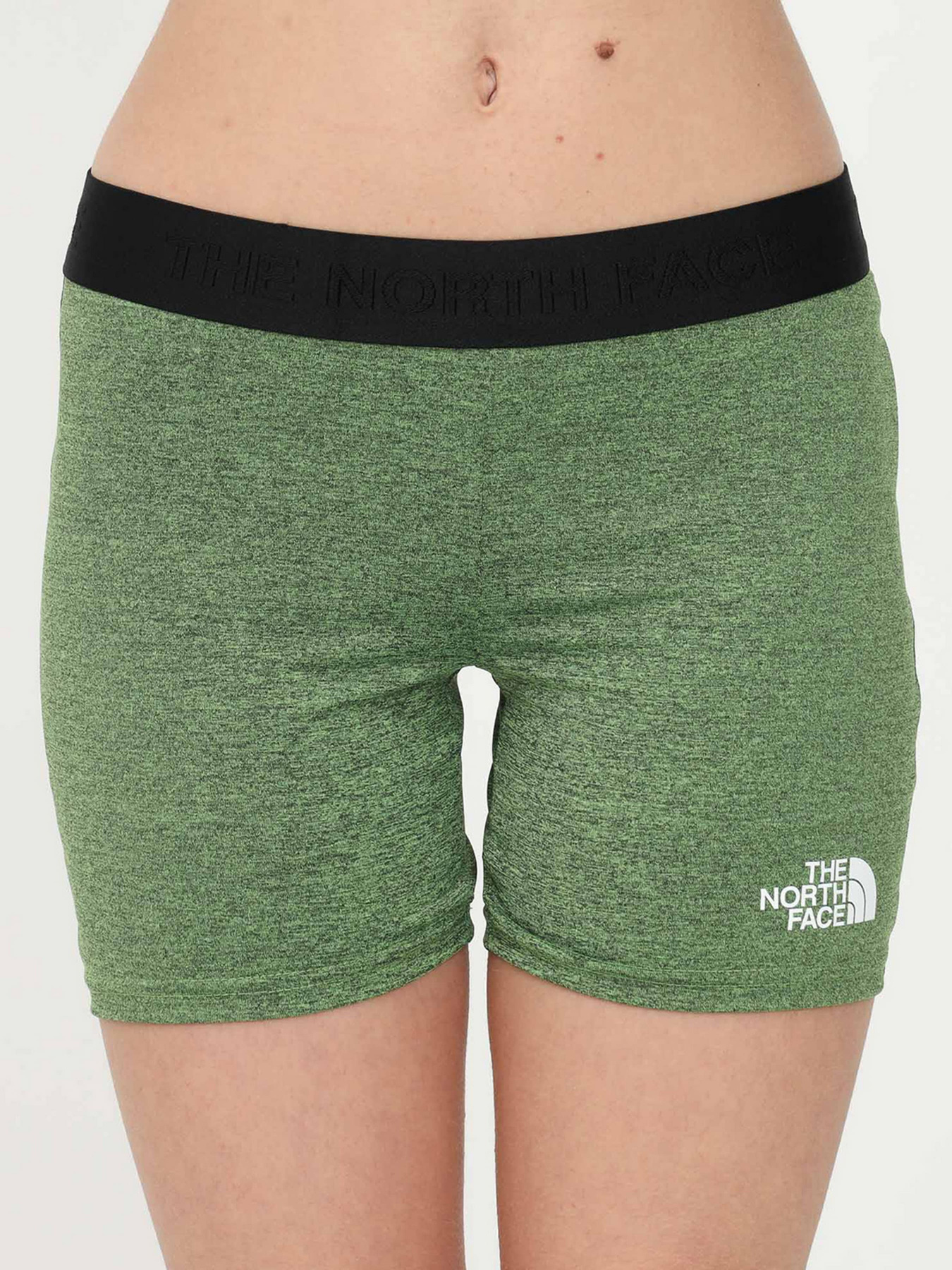 Шорты The North Face модель NF0A5IFAJRS1 Фото