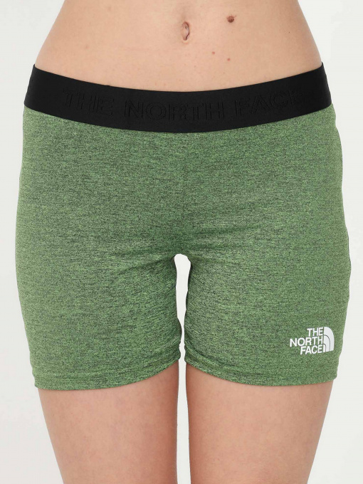 Шорты The North Face модель NF0A5IFAJRS1 Фото