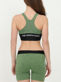 Шорты The North Face модель NF0A5IFAJRS1 Фото