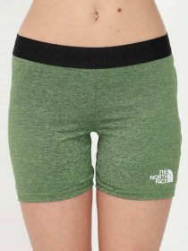 Шорты The North Face модель NF0A5IFAJRS1 Фото