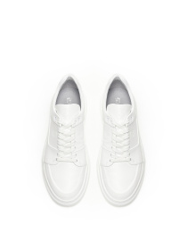 Кеды низкие Alex Bell модель 1168908 Фото