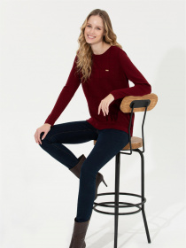 Джемпер US Polo модель G082GL0TK.000.1430150.VR014 Фото