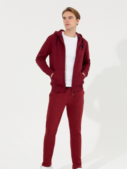 Штаны спортивные US Polo модель G081SZ0OP.000.1454282.VR223 — фото 4 - INTERTOP