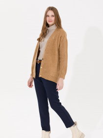 Повсякденні штани US Polo модель G082SZ078.000.1500774.VR033 Фото