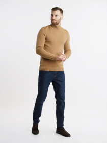 Водолазка Arber модель M10.46.16.243 Фото