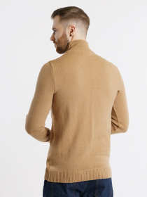 Водолазка Arber модель M10.46.16.243 Фото