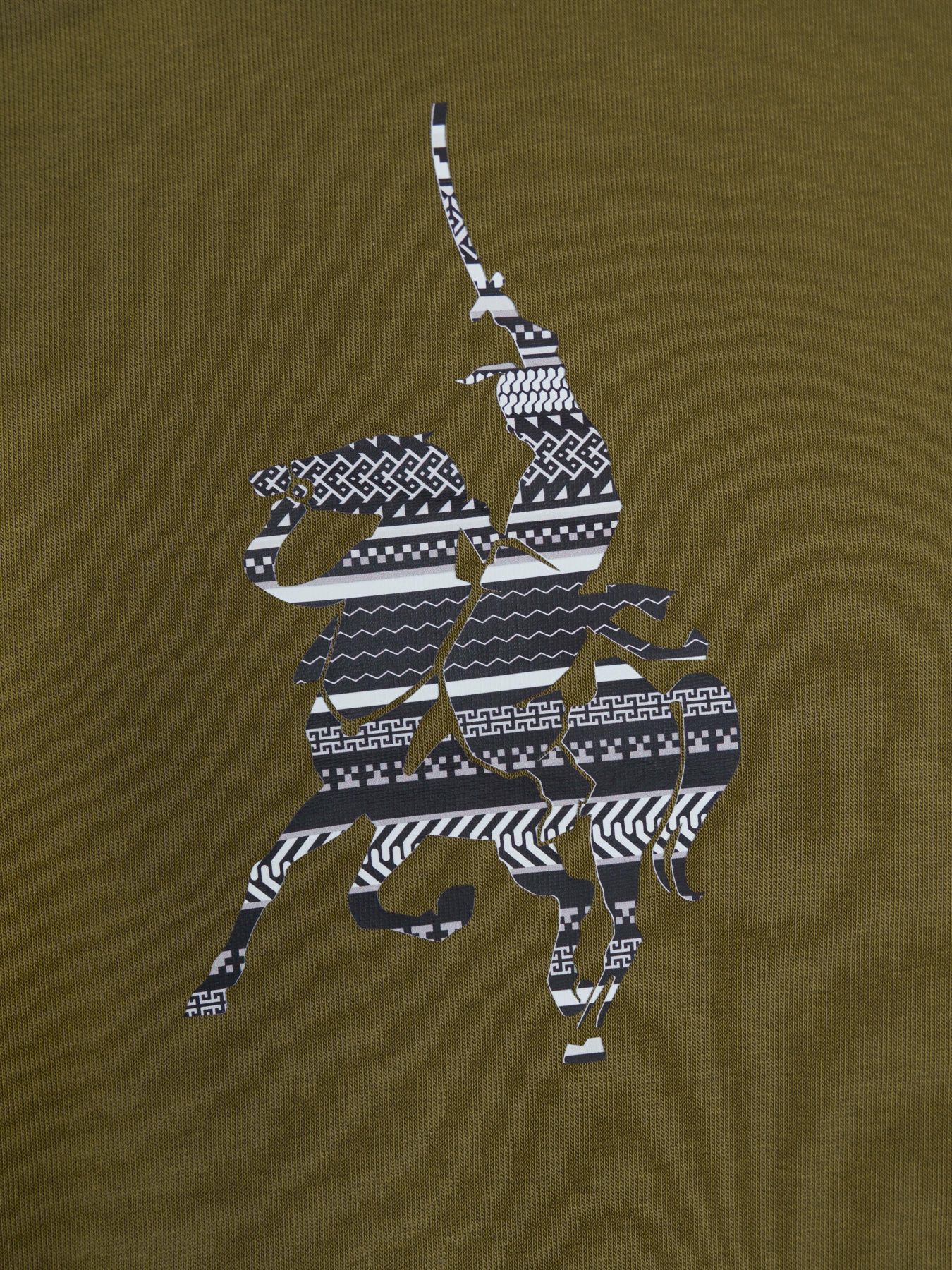 Худи Arber модель F17.02.53.231 Фото