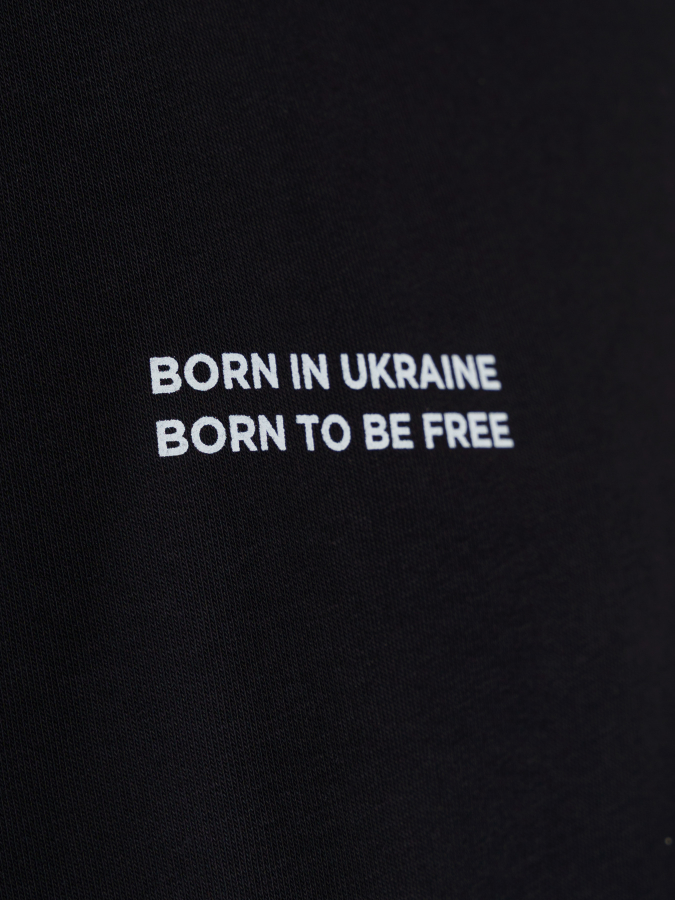 Худі Arber модель F17.03.02.231 Фото