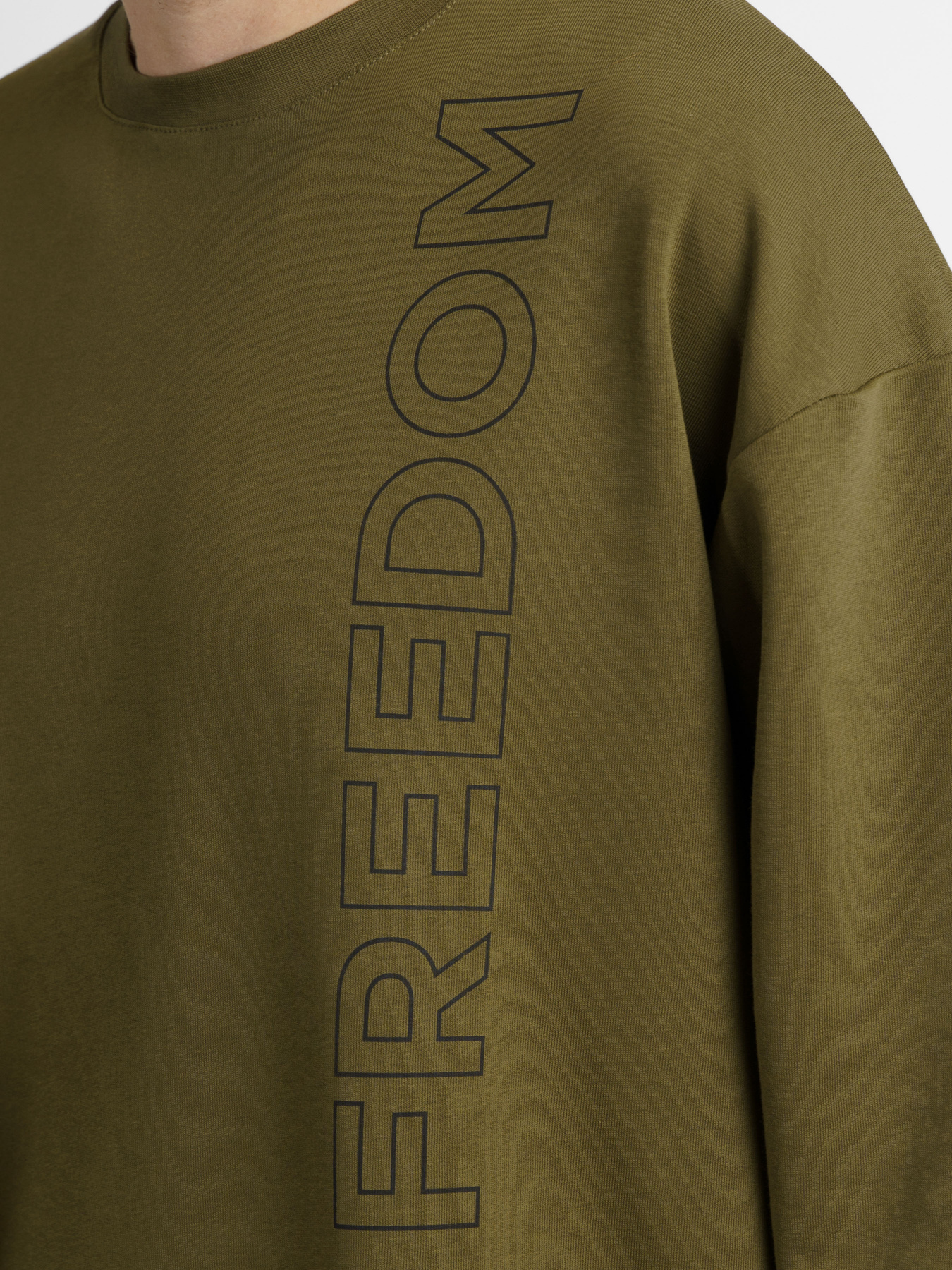 Світшот Arber модель F17.07.53.231 Фото