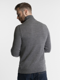 Водолазка Arber модель M10.48.12.241 Водолазка Arber модель M10.48.12.241 Фото