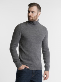 Водолазка Arber модель M10.48.12.241 Водолазка Arber модель M10.48.12.241 Фото