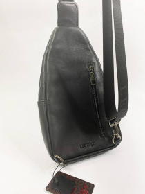 Мессенджер Legessy модель V185 Фото