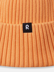 Шапка REIMA модель 5300057B_2690 Фото