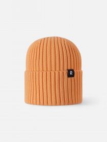 Шапка REIMA модель 5300057B_2690 Фото