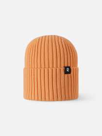 Шапка REIMA модель 5300057B_2690 Фото