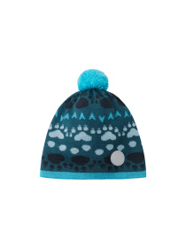 Шапка REIMA модель 528716_7711 Фото