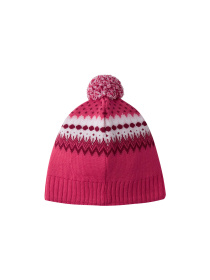 Шапка REIMA модель 528718_3531 Фото