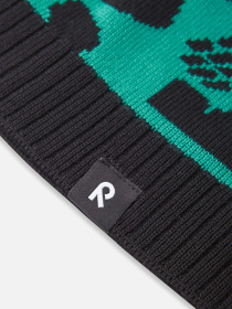 Шапка REIMA модель 5300077A_7851 Фото